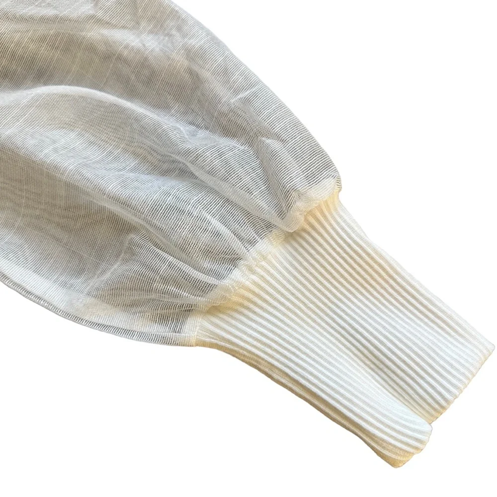 Anthropologie White Sheer Sleeve Top